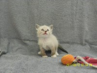 /album/galeria-ares/sam-2274-1000-x-750-jpg/